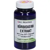 Hecht-Pharma Gmbh Kürbiskern Extrakt 450 mg GPH Kapseln 90 St