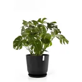 Ecopot's Oslo