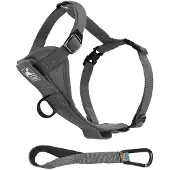 Kurgo Tru-Fit Autosicherheitsgeschirr für Hunde, Größe L, Grau