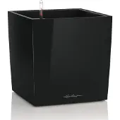Lechuza 'Cube 40', schwarz, ca. 39 x 39 x H 40 cm