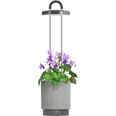 Click & Grow Click and Grow - HydroVase - Grau