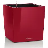 Lechuza 'Cube 40', scarlet-rot, ca. 39 x 39 x H 40 cm
