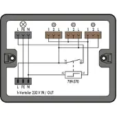 Wago 899-632/101-000 Verteilerbox StromstoÃschaltung mit Relais 1 Eingang, schwa