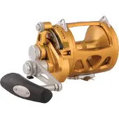Penn International VISW, 30, Rechtshand, Big Game Angelrolle, Schiebebremse, Gold, 1370779