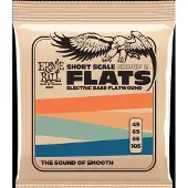 Ernie Ball 2801
