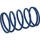 Polini Piaggio 500-400 243078 Kupplungsscheibenfeder