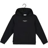 Name it Kapuzensweatshirt "NKMBRODY LS NREG SWEAT WH BRU NOOS", mit kleinem Logoprint