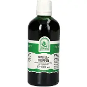 Hecht-Pharma Gmbh Mistel-tropfen 100 ml