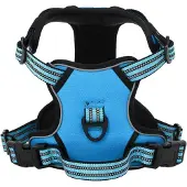vidaXL Hundegeschirr Reflektierend Verstellbar Blau L