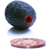 Rycote Neoprene Coated Lav Foam