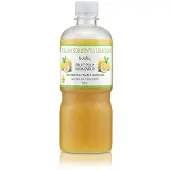 Bubliq Italian Sorrento Lemonade