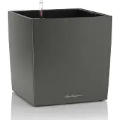 Lechuza 'Cube Premium 50', anthrazit, ca. 49 x 49 x H 49,5 cm