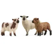 Schleich FARM WORLD 42660, 3 Jahr(e), Farm, Farm animals / farm toys, Mehrfarbig, Kunststoff
