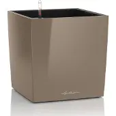 Lechuza 'Cube Premium 50', taupe, ca. 49 x 49 x H 49,5 cm