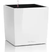 Lechuza 'Cube Premium 50', weiß, ca. 49 x 49 x H 49,5 cm