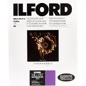 Ilford MG Art 300 13x18cm 50 Blatt