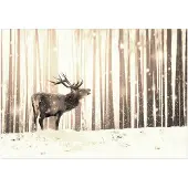 Kärkkäinen Fototapete Deer in the Snow Weiß/Beige