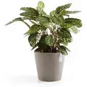 Ecopot's Blumentopf "Amsterdam", ØxH: 50x43,8 cm