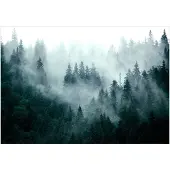 Kärkkäinen Fototapete Grau/Waldgrün ca. 450x315cm