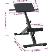 vidaXL Hyperextensionsbank Schwarz 100,5 x 70 x 78 cm