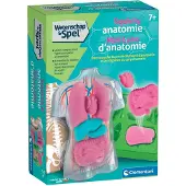 Clementoni Lernspielzeug Squishy Anatomie für Kinder ab 7 Jahren