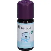 Baldini Winterzeit Duftkomposition Öl 10 ml
