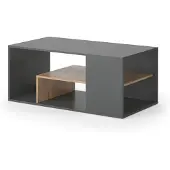 Vicco Couchtisch Edgar Anthrazit/Goldkraft Eiche 110 x 59 cm, Model 55602