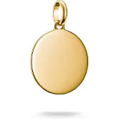 Thomas Sabo Charm Club Connect CC1273-413-39 Charm Anhänger