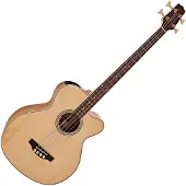 Takamine GB72CE Electro Acoustic Bass Natur