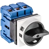 Kraus & Naimer HAUPTSCHALTER 80A 3POLIG (KG80.T103/01.E)