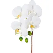 Creativ Green Kunstorchidee "Orchidee Phalaenopsis" mit real-touch-Blüten