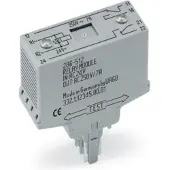 Wago 286-312/004-000 Relaismodul,Eingangsnennspannung DC 24 V,2 Wechsler,grau 286312004000