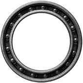 Ceramicspeed 61806 Coated Single Lager