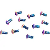 Sram Rotor Bolt Titanium T25 Kettenblattschraubensatz 12 Einheiten