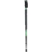 Zandstra Nordic skating poles