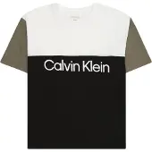 Calvin Klein Jeans T-Shirt Blocking IB0IB02528 D Schwarz Relaxed Fit