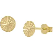 Trendor 28463 Damen-Ohrringe 333 / 8K Gold Ohrstecker Ø 6 mm