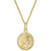 Trendor 28468-04 Kinder Sternzeichen Widder Gold 333 mit vergoldeter Kette