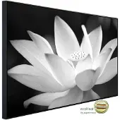 Papermoon Infrarotheizung »EcoHeat - Blume Schwarz + Weiss«, Matt-Effekt - bunt
