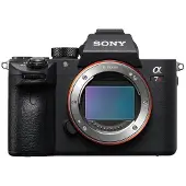 Sony A7R III + SEL 100-400mm F4.5-5.6 OSS
