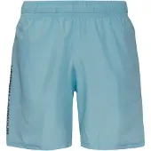 Under Armour Herren Shorts Ua Tech Woven Wordmark Short 1383356-494__LG