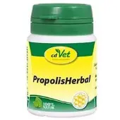 CdVet Propolis Herbal Pulver vet. 20 g