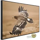 Papermoon Infrarotheizung »EcoHeat - Der Steppenadler«, Matt-Effekt - bunt