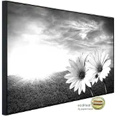 Papermoon Infrarotheizung »EcoHeat - Blumen Schwarz + Weiss«, Matt-Effekt - bunt