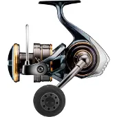 Daiwa Caldia Sw 2023 Spinnrolle