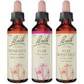 Nelsons GmbH Bachblüten-Set "Du schaffst das" 60 ml
