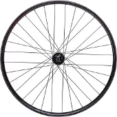 BRN Trail 29´´ Tubeless Mtb Vorderrad