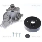 TRISCAN Wasserpumpe 8600 11052