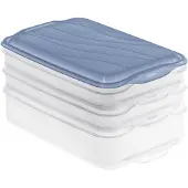 Rotho RONDO, Container, Rechteckig, Blau, Transparent, Kunststoff, 160 mm, 240 mm