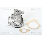 TRISCAN Wasserpumpe 8600 10003